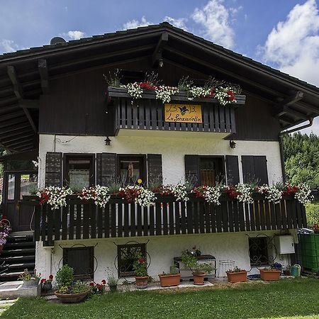 B&B La Genzianella Perarolo di Cadore Eksteriør bilde