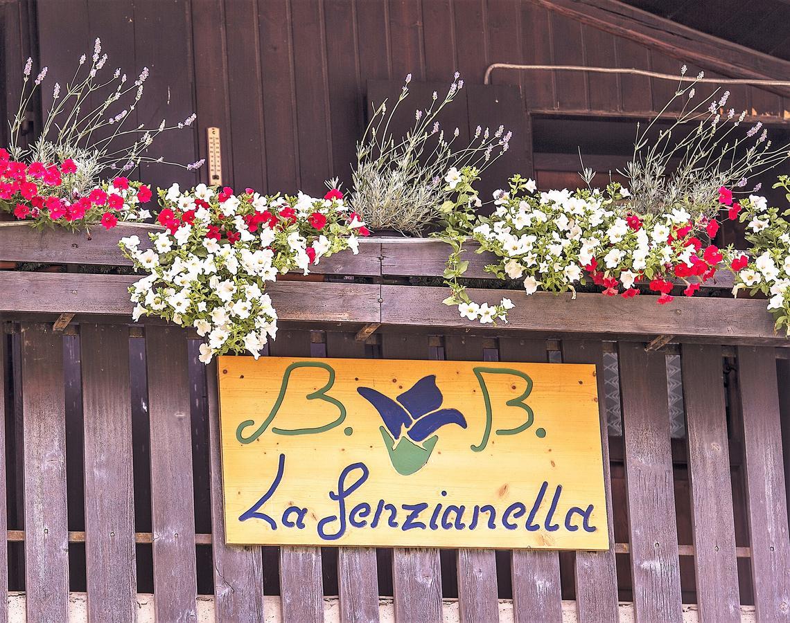 B&B La Genzianella Perarolo di Cadore Eksteriør bilde